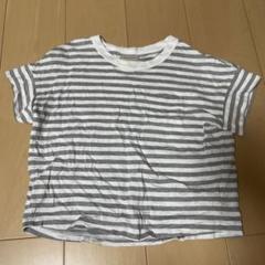 マインハイム　tシャツ