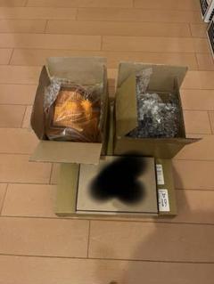 フォルクスワーゲン ヴァナゴン、カラベル T3 ミラー