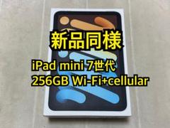 iPad mini 7世代 256GB cellular 国内版SIMフリー