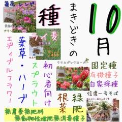 10月まきどき 固定種 在来種 有機種子 野菜の種 ハーブの種 緑肥 種子 種