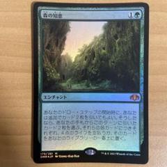 MTG 森の知恵 Foil DMR 全面アート 英語 ③ MTG 森の知恵 Foil DMR 全面アート 英語 ③