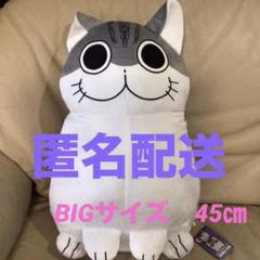 【1310】第五人格 エマ・ウッズ 庭師 ともぬい 猫耳スタイル 第五人格 ともぬい 庭師 エマ・ウッズの通販 by ☆min☆｜ラクマ