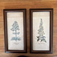 Lilium Montanum & Digitalis flower リトグラフ Lilium Montanum & Digitalis flower リトグラフ - メルカリ