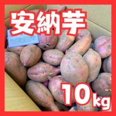 さつまいも安納のサムネイル
