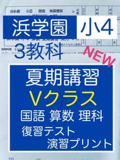 【国産】 2023年度 Vクラス 夏期講習 小4 浜学園 3教科 メルカリ - 復習テスト 語学・辞書・学習参考書