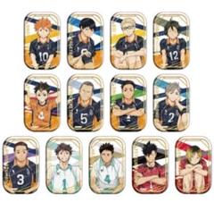ハイキュー!! おすわり セット 缶バッジ セブンネット限定 ハイキュー セブンネット限定 スクエア缶バッジ クールダウン