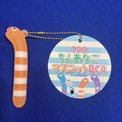 未使用未開封紙タグ付き キティちんあなご ぬいぐるみ マスコット ニシキアナゴ すみだ水族館【公式】 on X: 