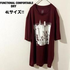 ファンクショナル ドライTシャツ 大きいサイズ 4L 半袖 Tシャツ メッシュ