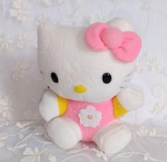 美品レアハローキティ　ピンクベア Pink Bear × ハローキティ Special Box | JUMEI｜中国コスメ