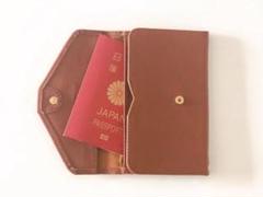 Chaul マルチケース ブラウン