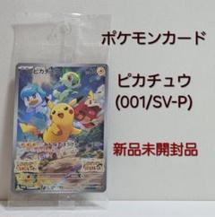 ポケモンカード　プロモ　まとめ売り　最安値 ポケモンカード まとめ売り 未開封 プロモ EX SR 24枚セット