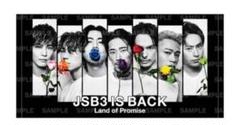 お値下げ中✨受注生産 JSB3 IS BACK バスタオル 三代目 J Soul Brothers 受注生産 バスタオル - メルカリ