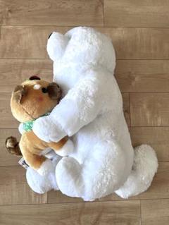 犬のぬいぐるみセット