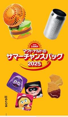 マクドナルド　福袋　サマーチャンスバッグ　ビッグマックファン他