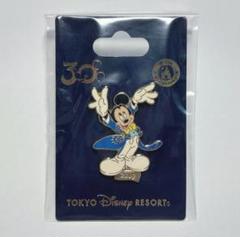 【非売品】TDL 20周年 ドリーム ディズニー ピンバッチ 5点 (チャーム) Amazon.co.jp: TokyoDisneyResort ピンバッジ セット(6個セット