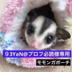 【Plume【プロフ必読】】モモンガポーチ 93YaN@プロフ必読様専用 - メルカリ