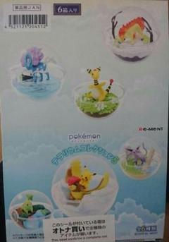ポケットモンスター テラリウムコレクション 1boxの中古 未使用品を探そう メルカリ