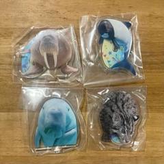 鳥羽水族館⭐️コレクションカード⭐️ジュゴン⭐️セレナ⭐️レア２枚セット 鳥羽水族館 コレクションカード ニコ - メルカリ