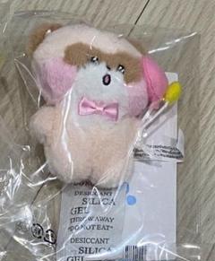 ZEROBASEONE ジャンハオ zeroni ぬいぐるみ 制服 トレカ付き ゼベワン ZB1 ジャンハオ ハニニ ぬいぐるみ zeroni トレカ付き