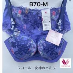 2025年最新】ワコール 女神のヒミツの人気アイテム - メルカリ