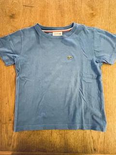 LACOSTE 青 Tシャツ 110 ラコステ ブルー