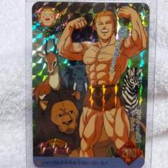 2025年最新】ジャングルの王者ターちゃん カードの人気アイテム