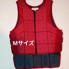 ソメスサドル SOMES SADDLE 乗馬用 プロテクター ベスト - メルカリ