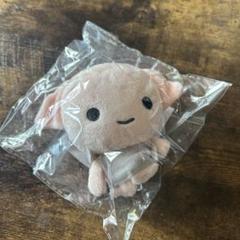 【新品★韓国限定】ハリーポッターぬいぐるみ 11_000000001890.jpg?1678209905