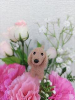 ダックスフンド♡レッド♡ 羊毛フェルト フラワーピック♪ お祝い メモリアル羊毛