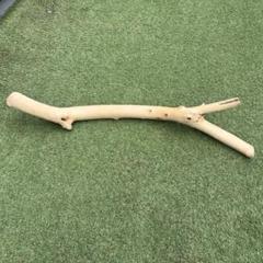 流木 Y字 天然素材 約74cm 曲がり枝 インテリア・DIY・アクアリウム◎