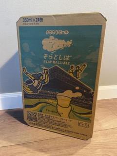 数量限定】そらとしば PLAY BALL! ALE 24缶 クラフトビール