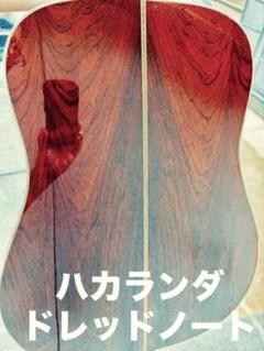 ハカランダドレッドノート　稀に見る美品　良音　MORRIS TF-60 必見ハカランダ 稀に見る美品 良音 MORRIS TF-60 ハードケース