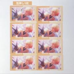プロセカ あんスタ コラボ エピカ 天馬司 クリアカード 特訓後