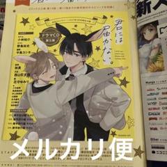 君には届かない。9巻他特典セット ドラマCD初回限定盤+ジーン付録CDコンプ ドラマCD「君には届かない。」ぼくらの文化祭 初回限定盤