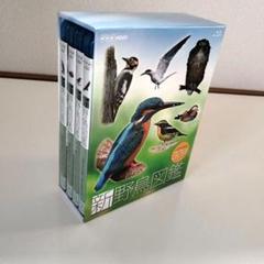 お値下げ バードウォッチング NHK 新野鳥図鑑 ブルーレイ全4巻