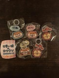 【ガチャガチャ】可愛い嘘のカワウソ　めじるしチャーム