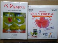 ベタ飼育&ベタ飼育本2点セット