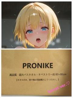 アイリス調 クッションカバー タペストリー プライベートナチュラル版 新品未開封 アイリス調 クッションカバー タペストリー プライベート