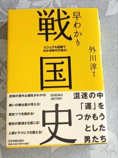 早わかり戦国史