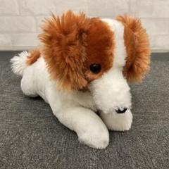 コーイケルホンディエのおでこちゃん おすわり VMCコンプリート 大谷翔平 コーイケルホンディエのおでこちゃん おすわり VMCコンプリート
