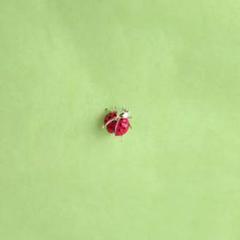 昆虫 妖精 ブローチ アクセサリー ファンタジー 幻想的 天然石 虹色 天道虫 昆虫 妖精 ブローチ アクセサリー ファンタジー 幻想的 天然石