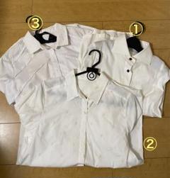 ⭐️新品 FAGRAS VITA 2点セット☆シルク70%