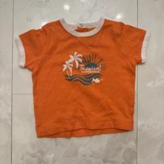 6m PETIT BATEAU トロピカルTシャツ