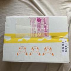 【ジムセット】クレイバースト&スノーハザード