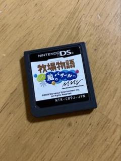 DS 牧場物語 ようこそ風のバザールへ