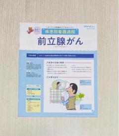 【前立腺がん】疾患別 看護過程 ロボット支援 前立腺全摘除術 プチナース 付録