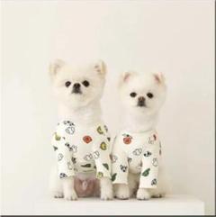 ミッフィー犬服の中古 未使用品 メルカリ