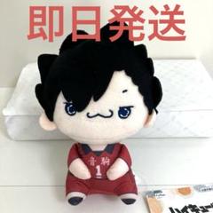 6点】ハイキュー!! もちぴこぬいぐるみ もちぴこBIG 孤爪研磨