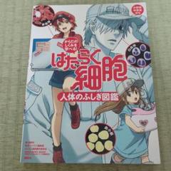 はたらく細胞人体のふしぎ図鑑 からだのしくみを学べる!