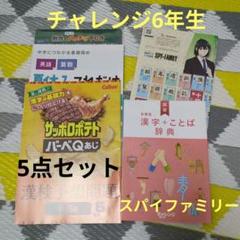 チャレンジ6年生漢字ことば辞典&夏休みコレだけドリル他 5点セット美品